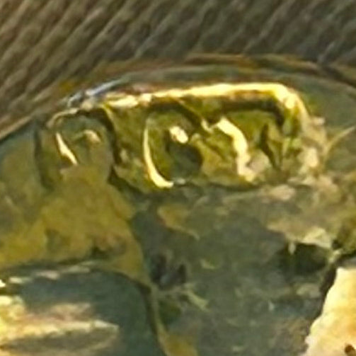 Victorian Onyx & Seed Pearl Star Necklace