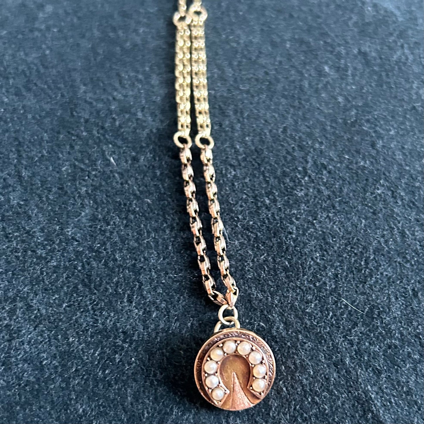 Victorian horseshoe Disk Necklace